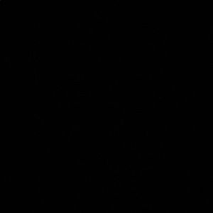 Meet your Posher, Max